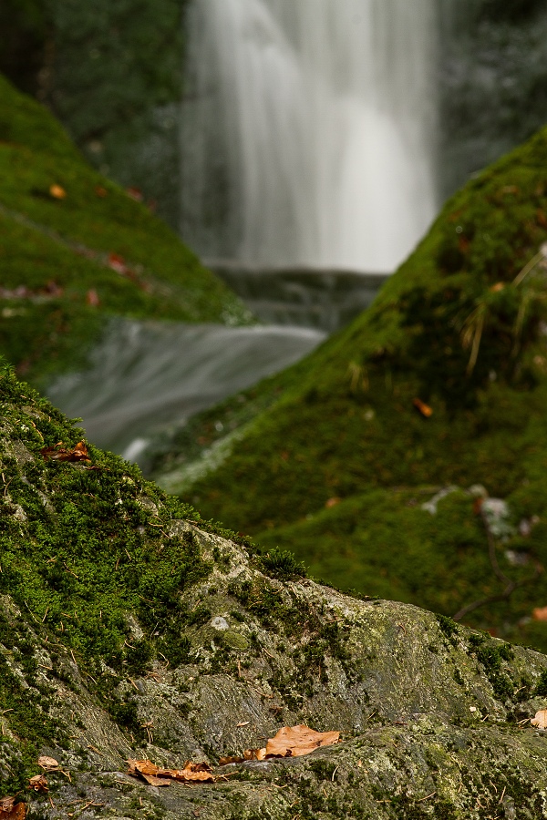 IMG_0215tl