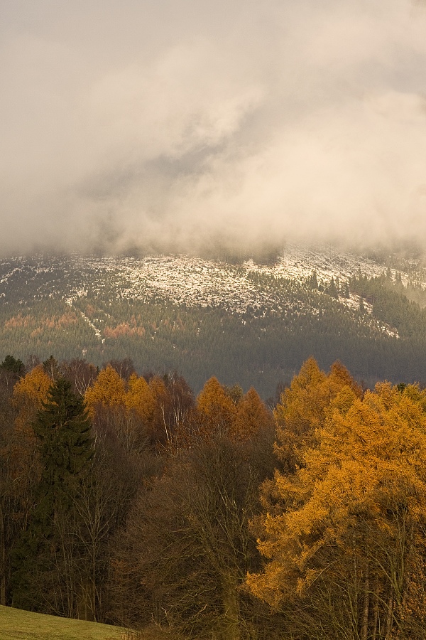 IMG_8756tl