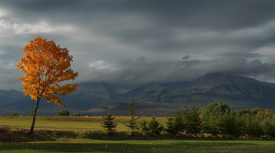 Vysoké Tatry3