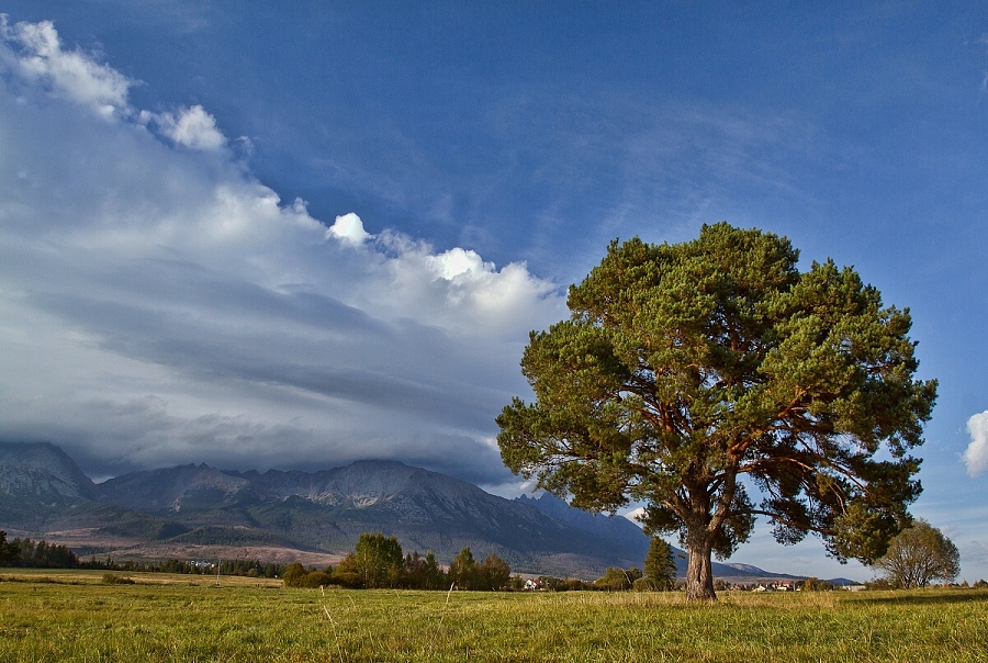 Vysoké Tatry6