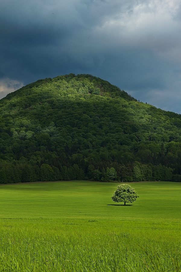 Pod Růžovským vrchem2